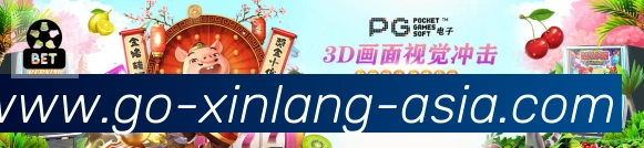 战术分析频道